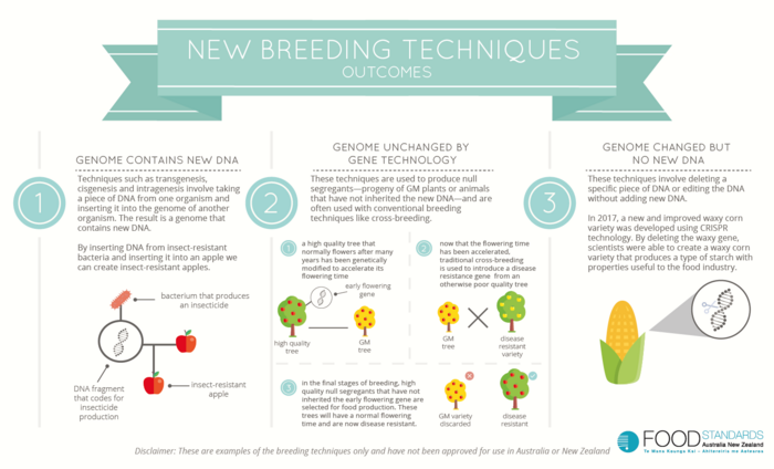 New breeding techniques